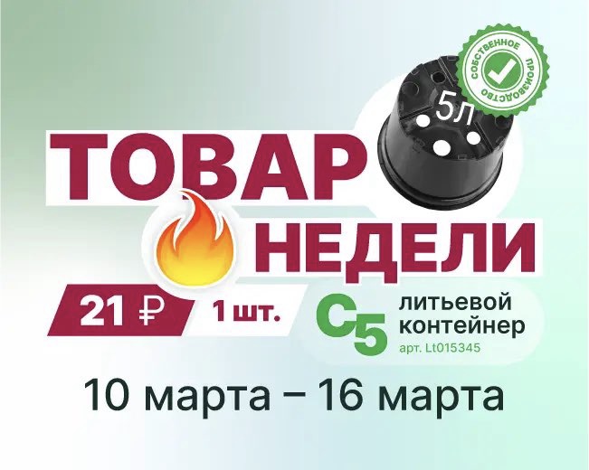 Неделя № 11